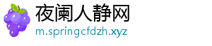 夜阑人静网